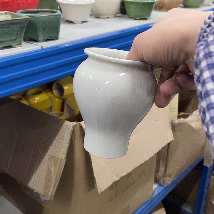 花盆单场满9.9发货7.5×11