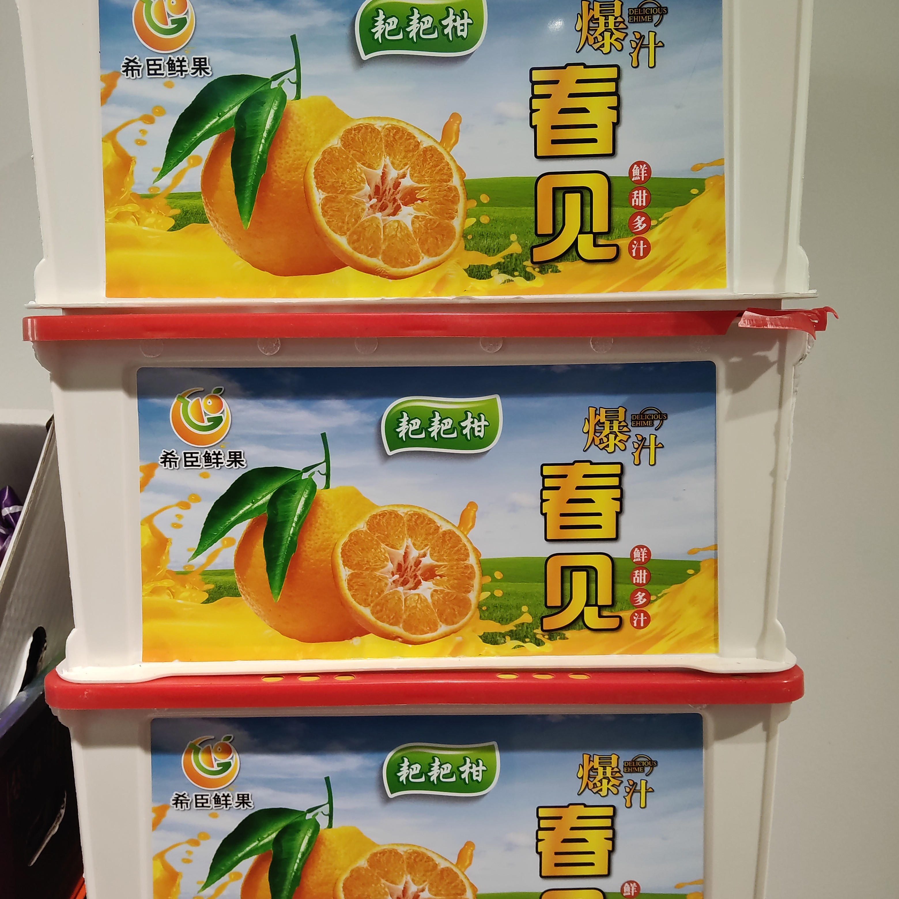 [春见耙耙柑]一筐