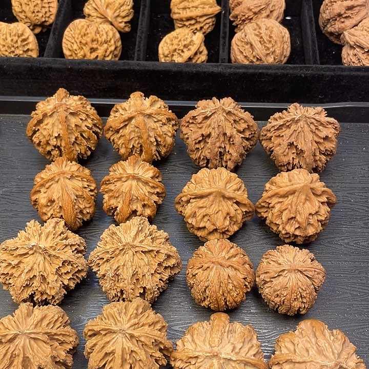 吊坠文玩核桃把vvvvvvvvvvvvvvvvvvvvvvv