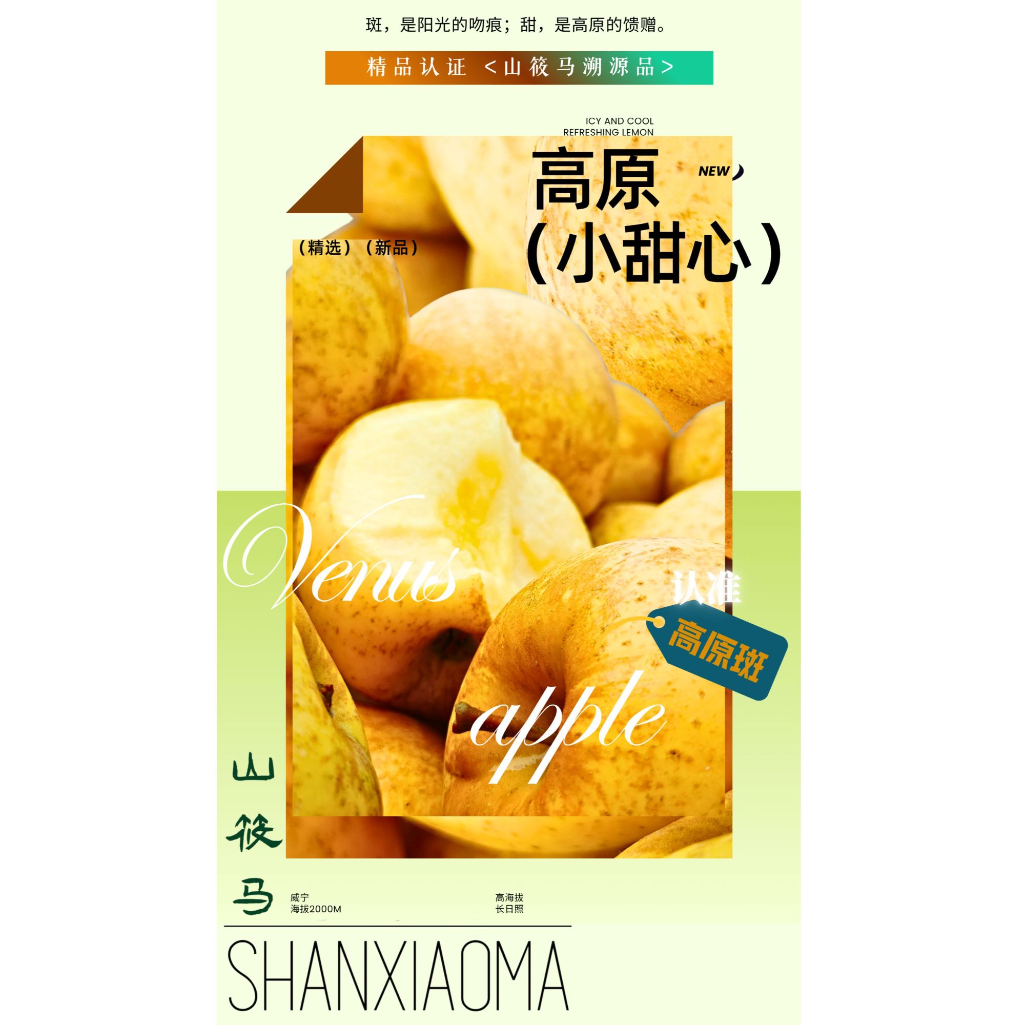 【高山小甜心·维纳斯苹果】·比初恋都甜·脆甜多汁贵州