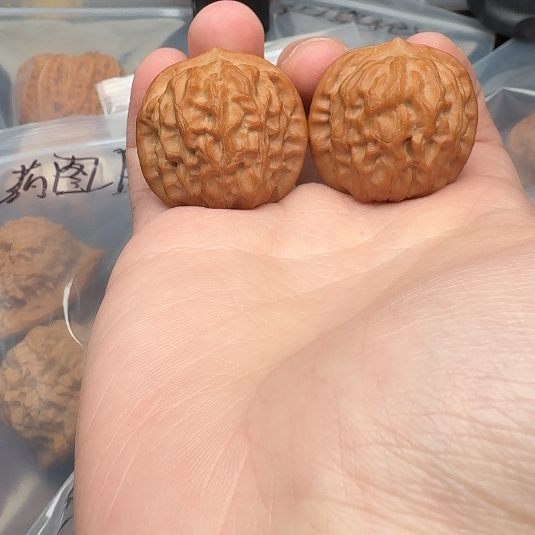 全品红皮石门元宝