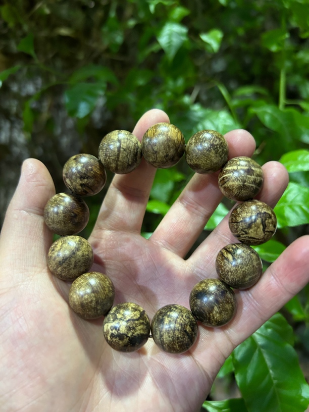 【土特产菇134】净含量54g