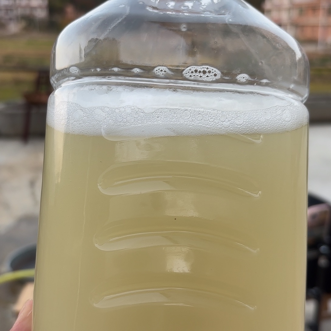 中国大陆湖南衡阳曲兰手工甜酉清甜好喝