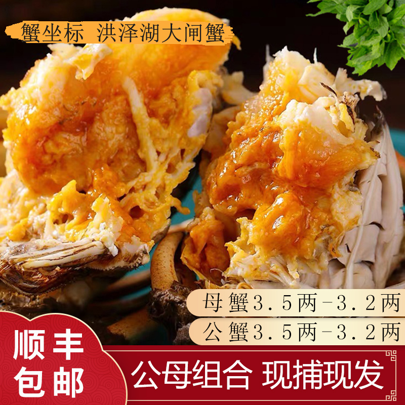 【精品挑膏大蟹】母蟹3.5两-3.2两公蟹3.5两-3.2两共8只4对装送2只s