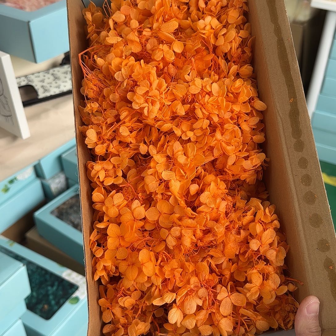 H16号亮橙色绣球大盒