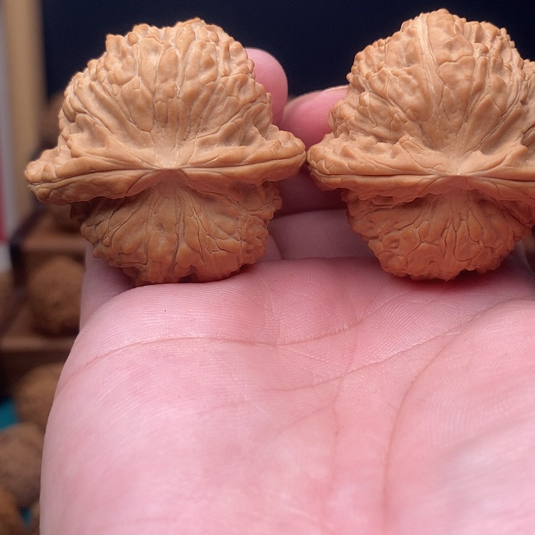 文玩核桃把件45白狮子