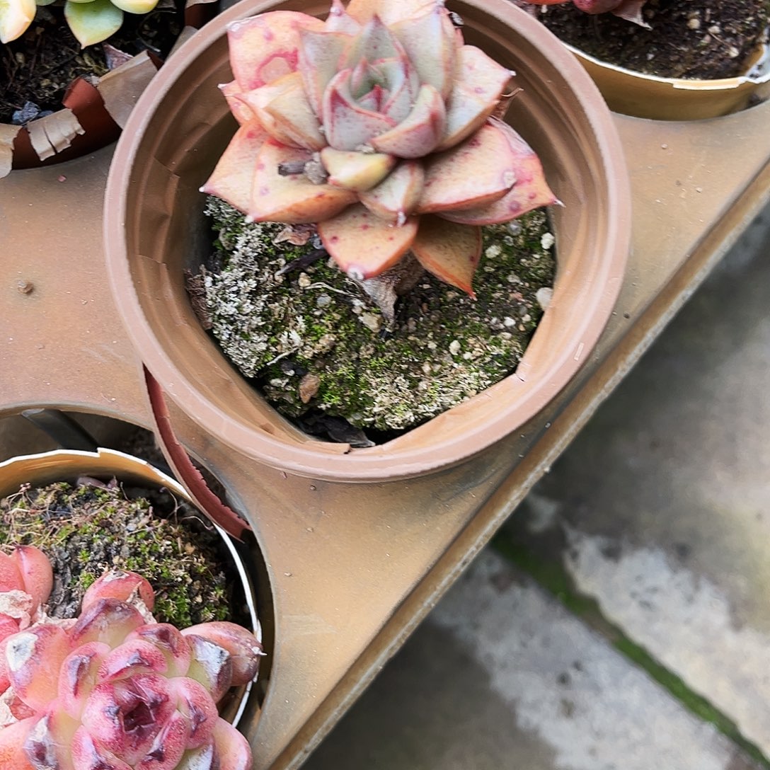 南***晶81夺取UN我自己哈哈