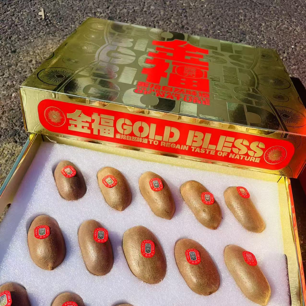 贝壳修文猕猴猴15枚6斤毛重