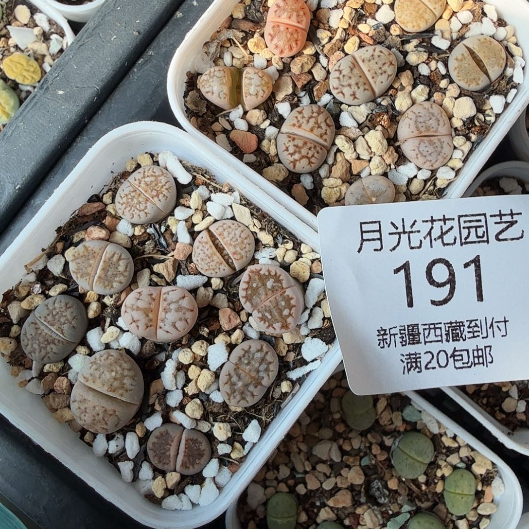 是一个不想被爱包围了191