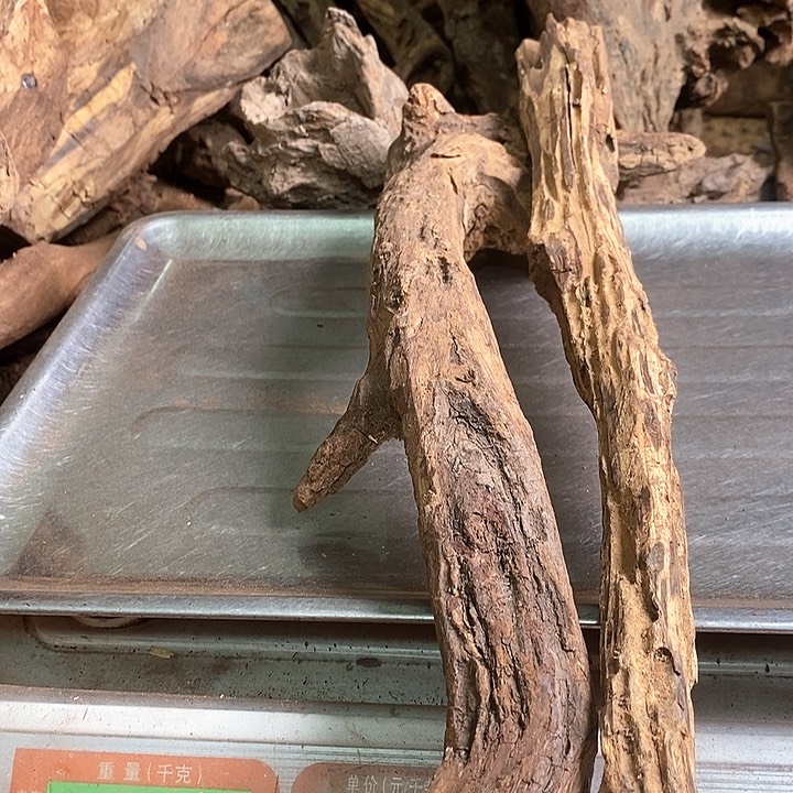 花梨木类梦**兰海南黄油梨