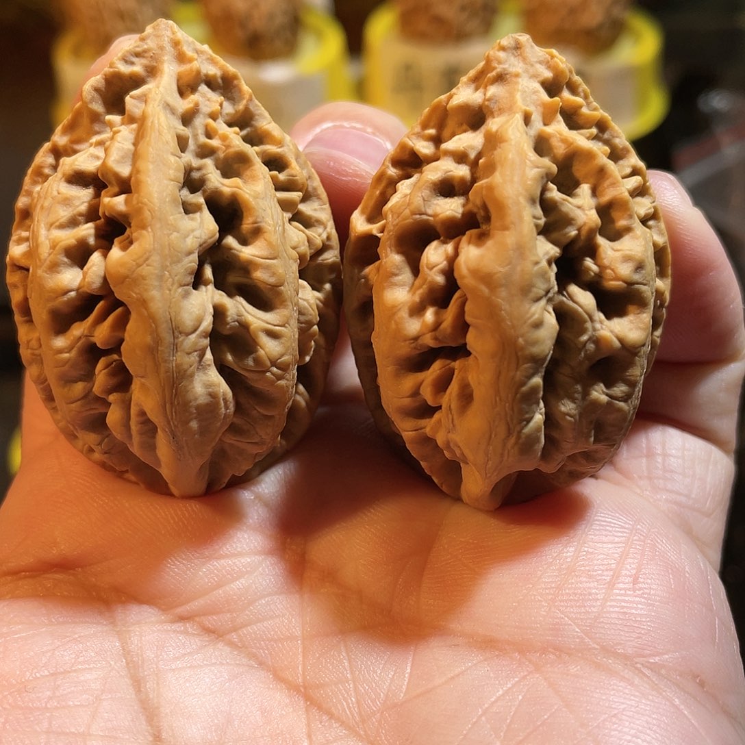文玩核桃吊坠粗筋龙纹