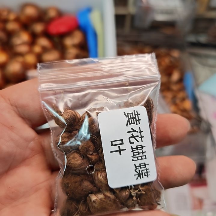 酢浆草早花黄花蝴蝶叶