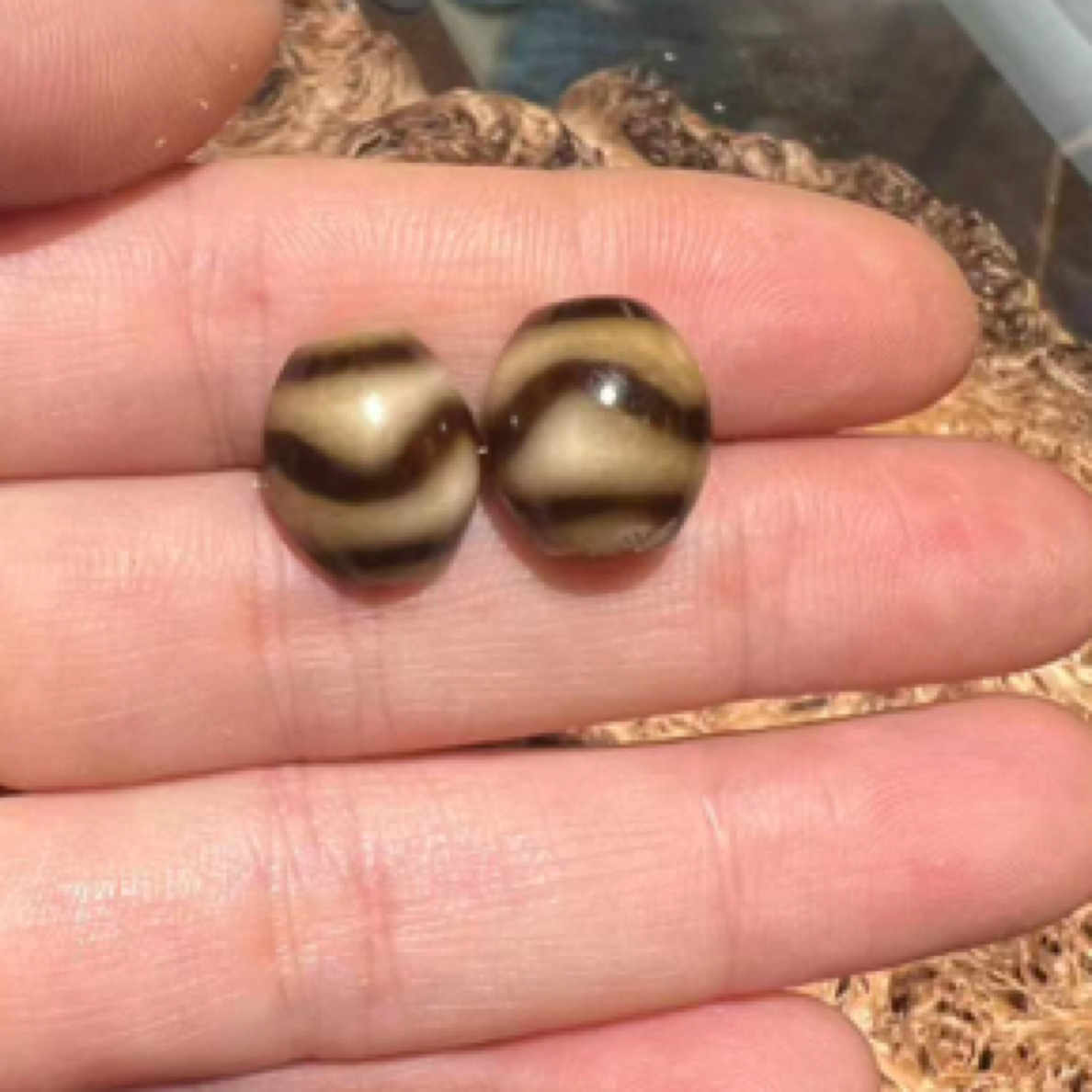 铜合金珐琅耳饰 223号耳环（小水纹珠珠耳钉）