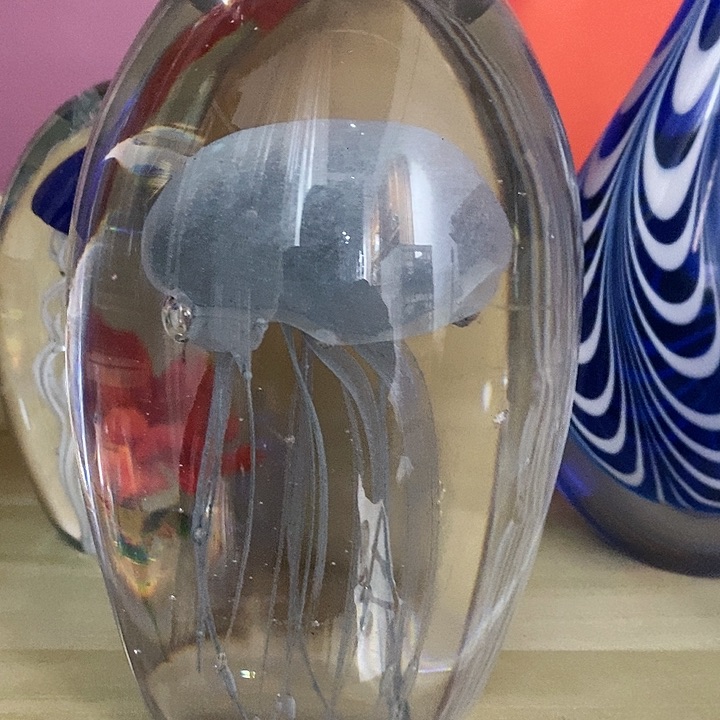 微瑕11226545352255853558