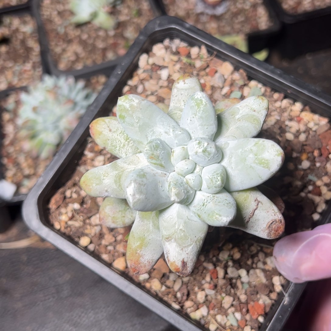 1328哈哈哈哈哈哈哈哈哈哈