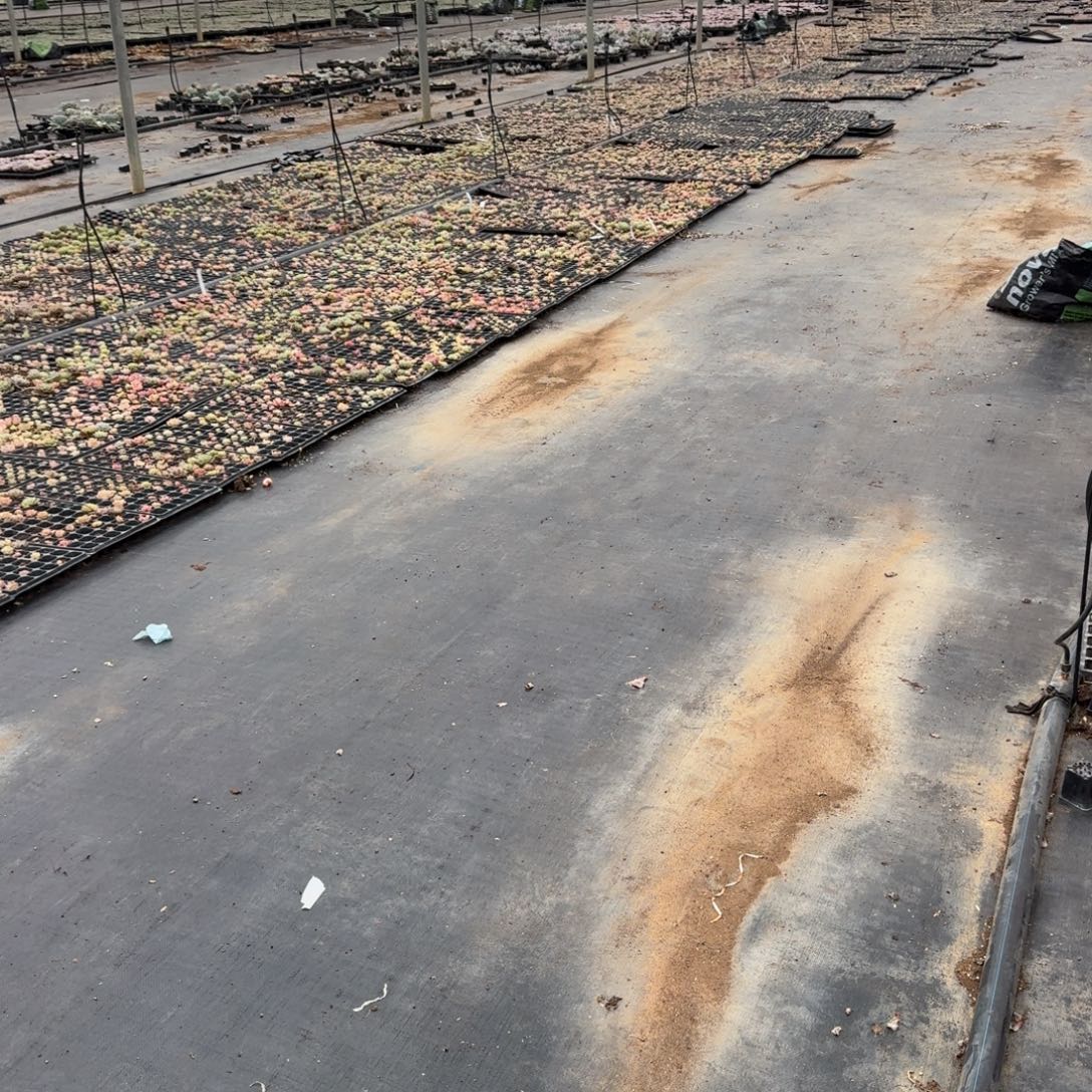 生病附近珍妮五十颗量拍24-2