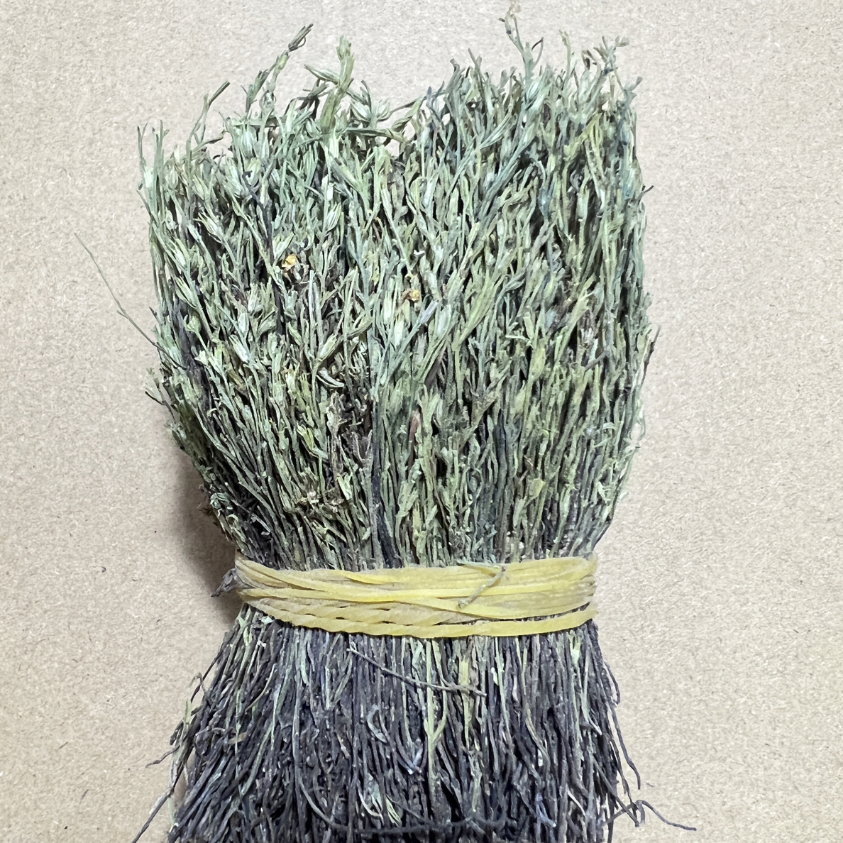 粤汤汇.嘢独脚金、消积草干货色泽青绿新鲜可煲汤可炖汤