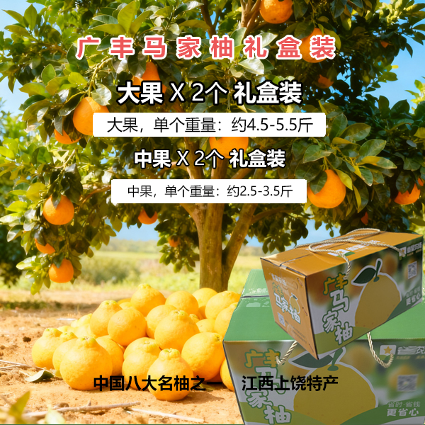 礼盒装广丰马家柚 应季现摘现发 鲜甜爽口