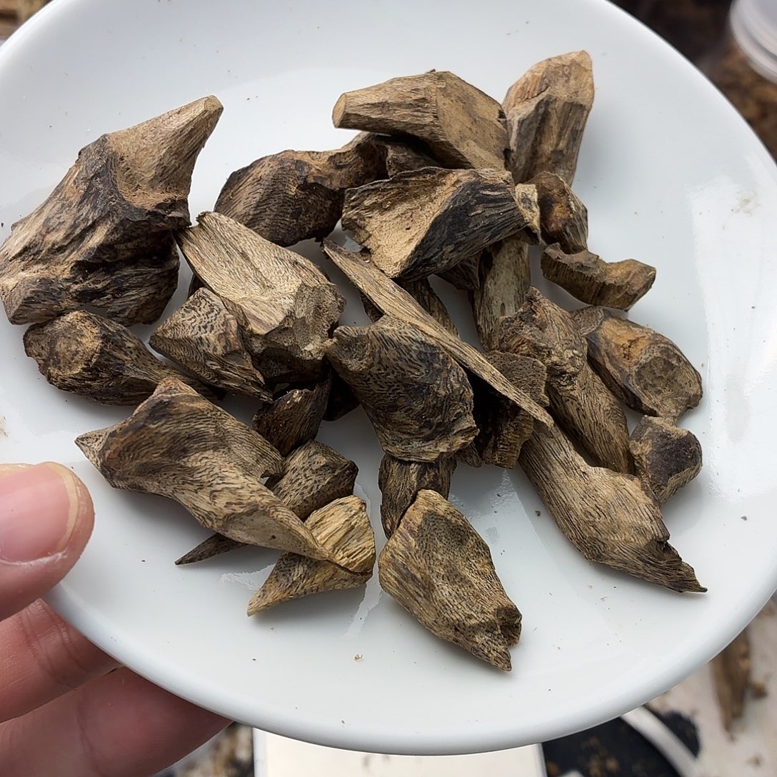 树丁手串原料43克