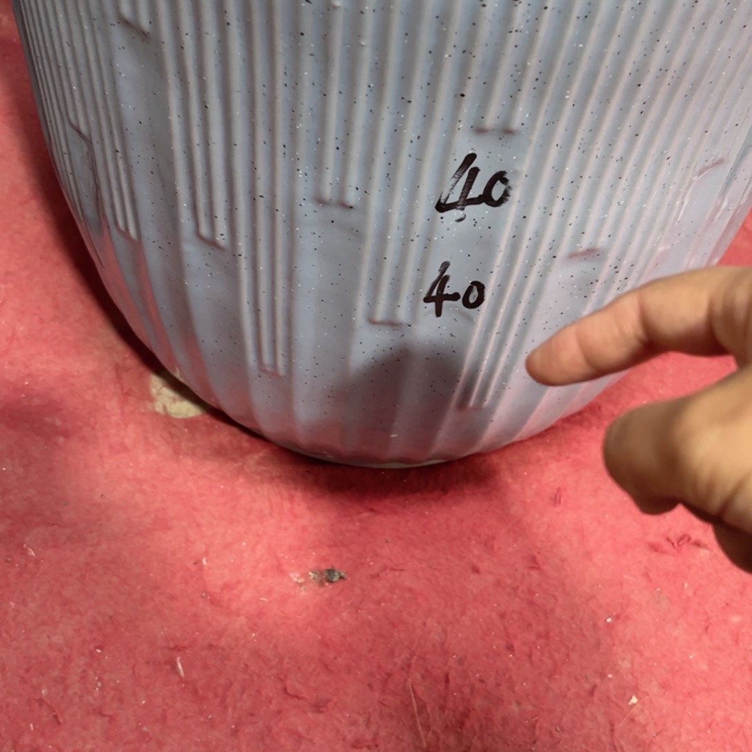 ?****?特大号音符带轮托盘