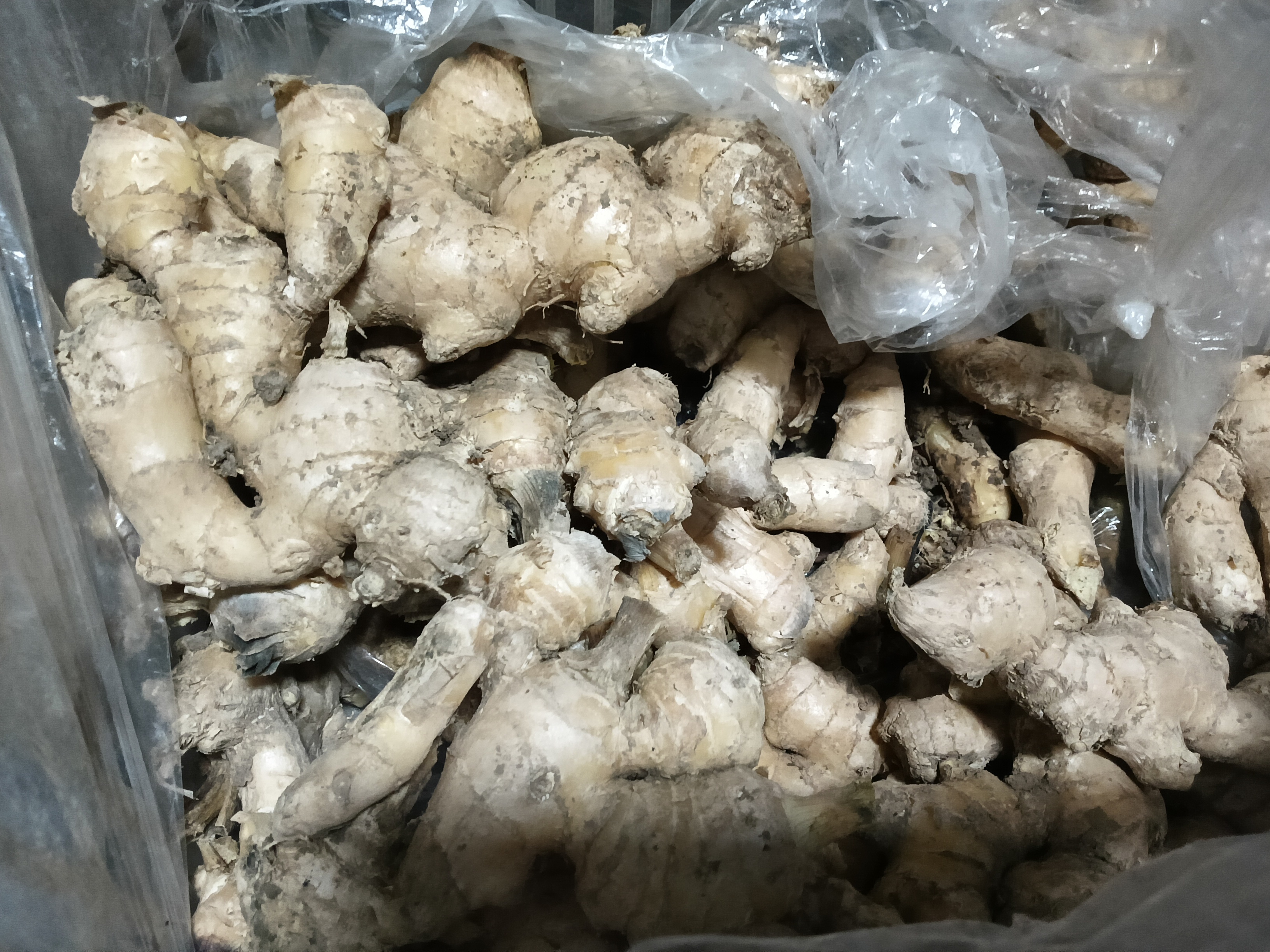 正宗临泉红芽姜断姜碎姜大小姜家用生姜