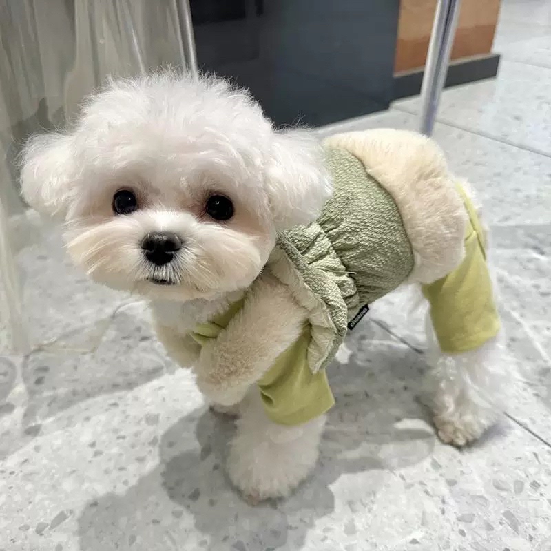 宠物服饰直播间过款(no退no换）衣服萨摩耶雪纳瑞比格犬