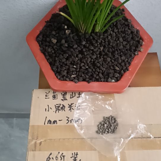 梅***宝兰菌黑山土小颗粒6.6斤
