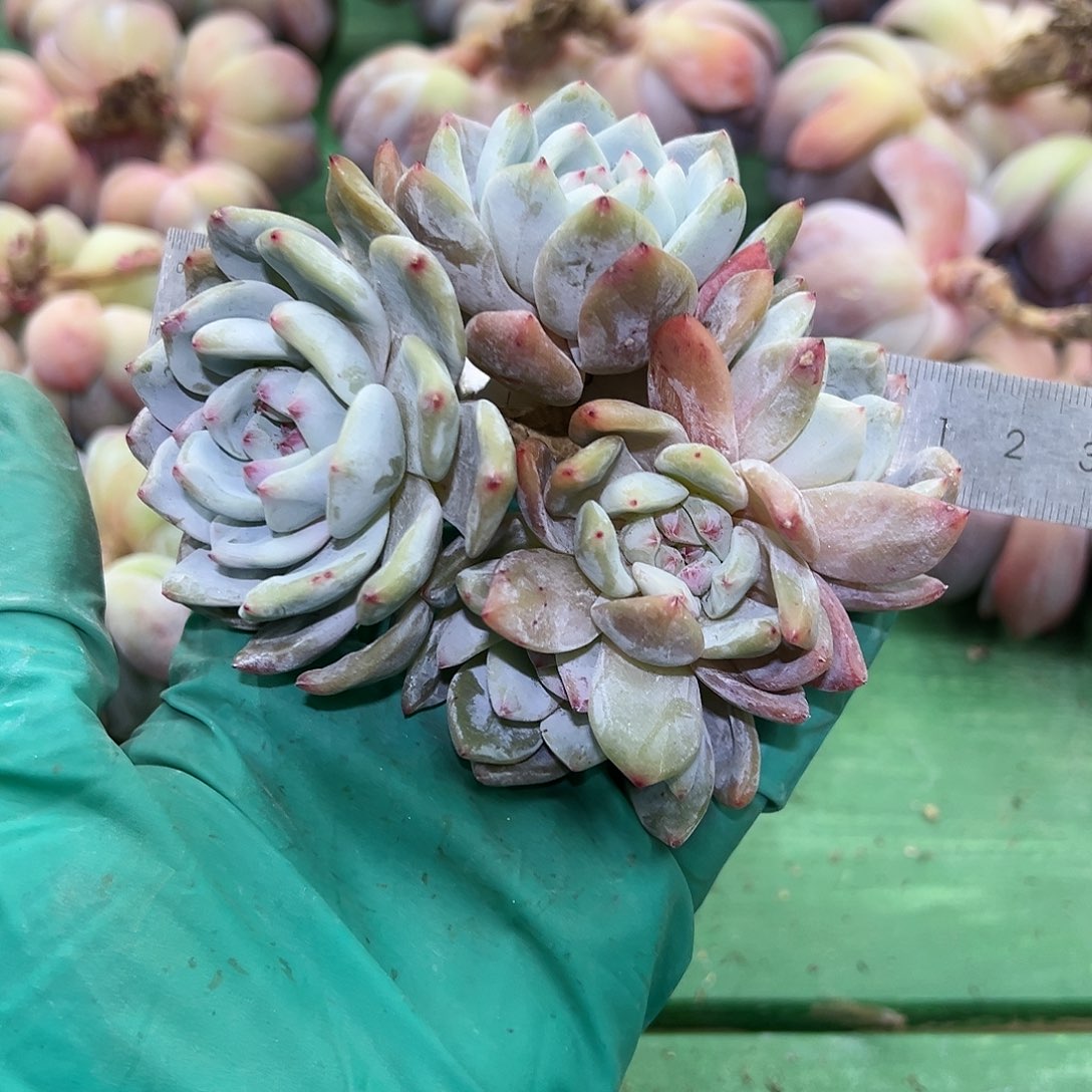 xighvjgjbjhhhbbbbbbbbb