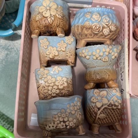 7个［所有订单凑满15明天发］