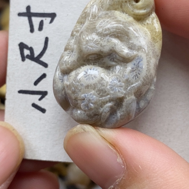 硅化珊瑚（珊瑚玉）未镶嵌颈饰