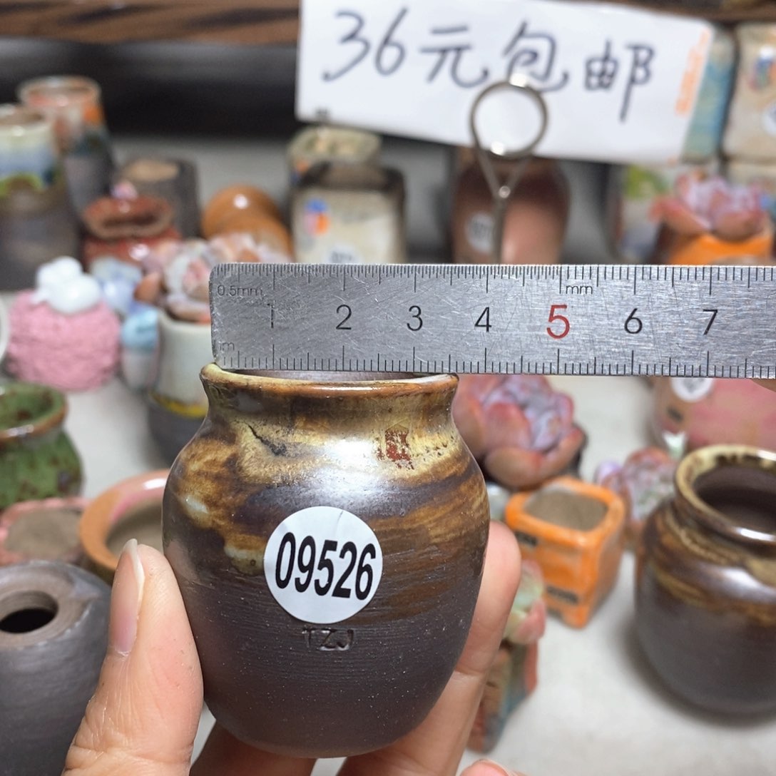 拍5送一个小礼物