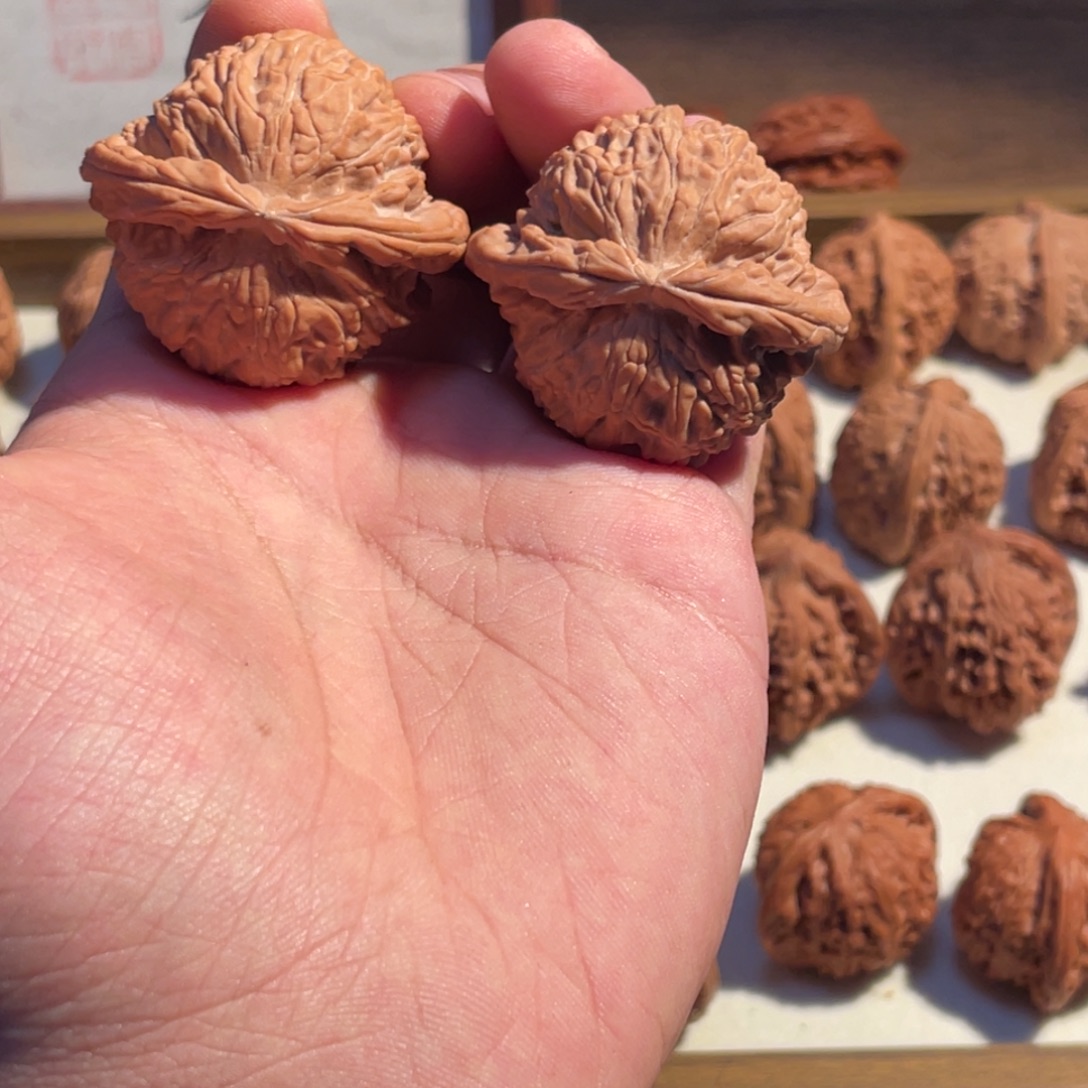 42白狮子全品文玩核桃