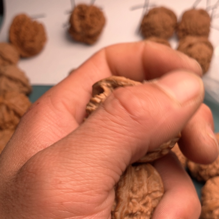 吊坠文玩核桃月*白狮子3