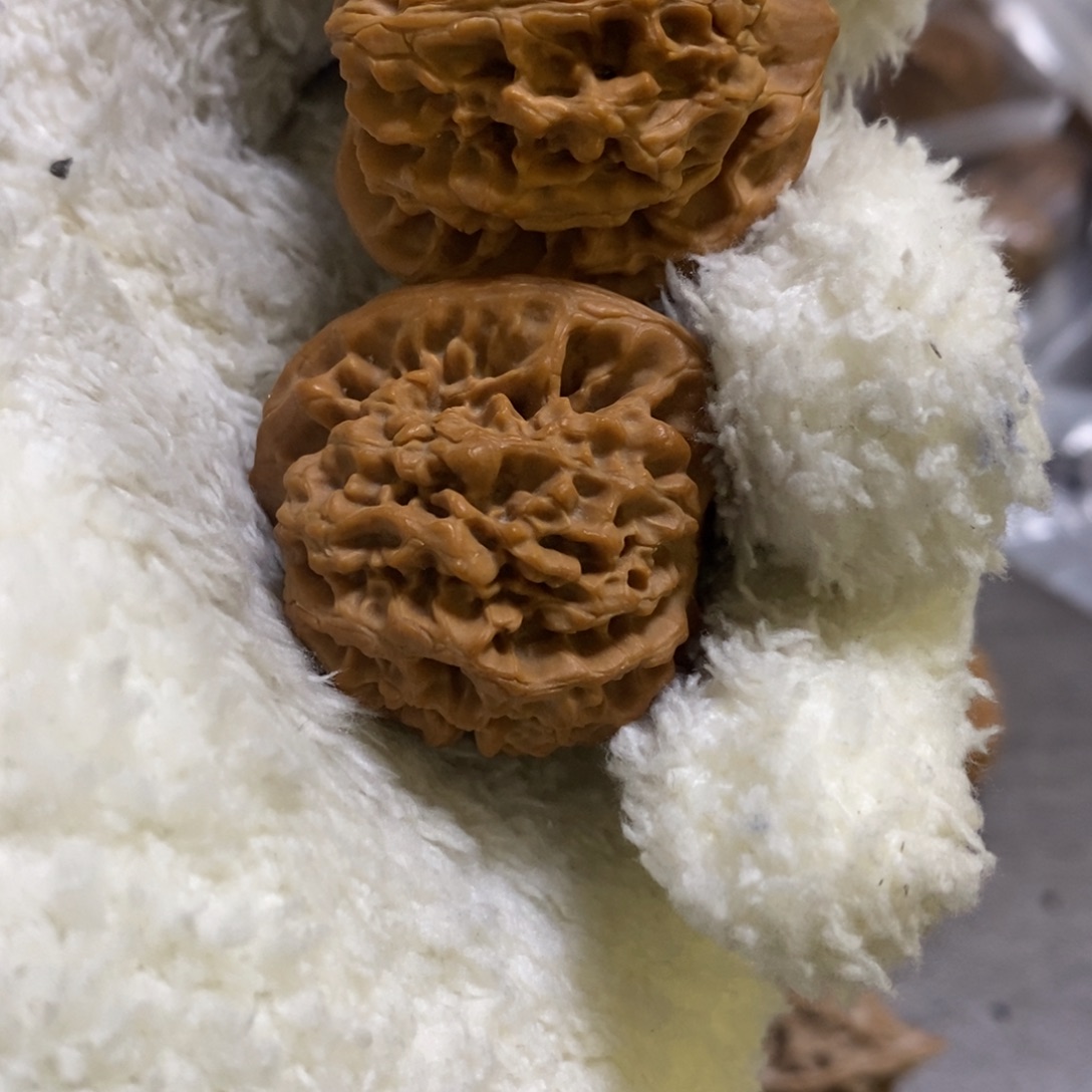 N***y我也要努力去实现秦闷