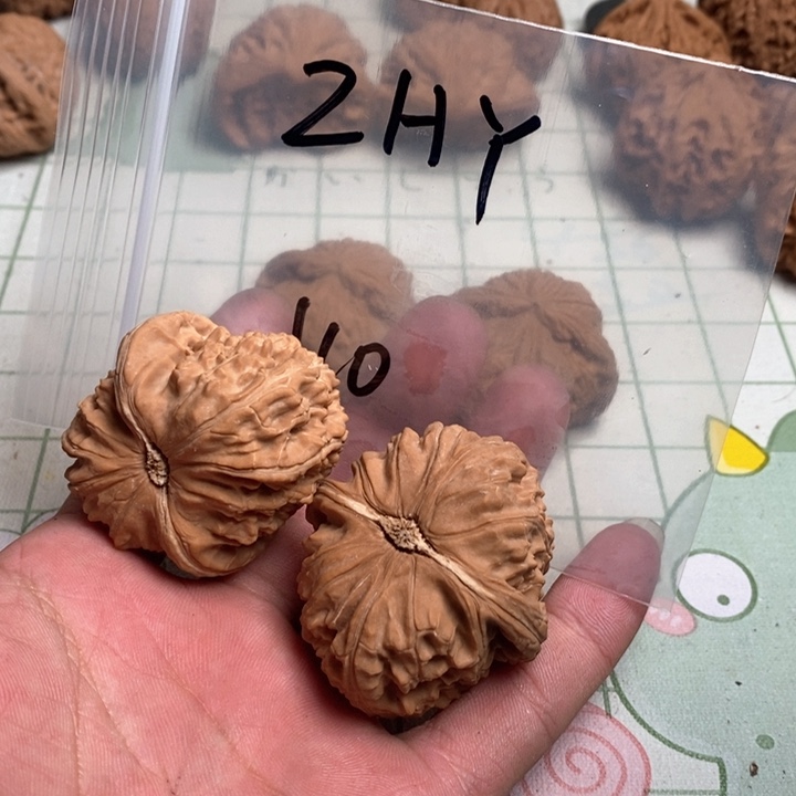 文玩核桃把件Z***Y核桃