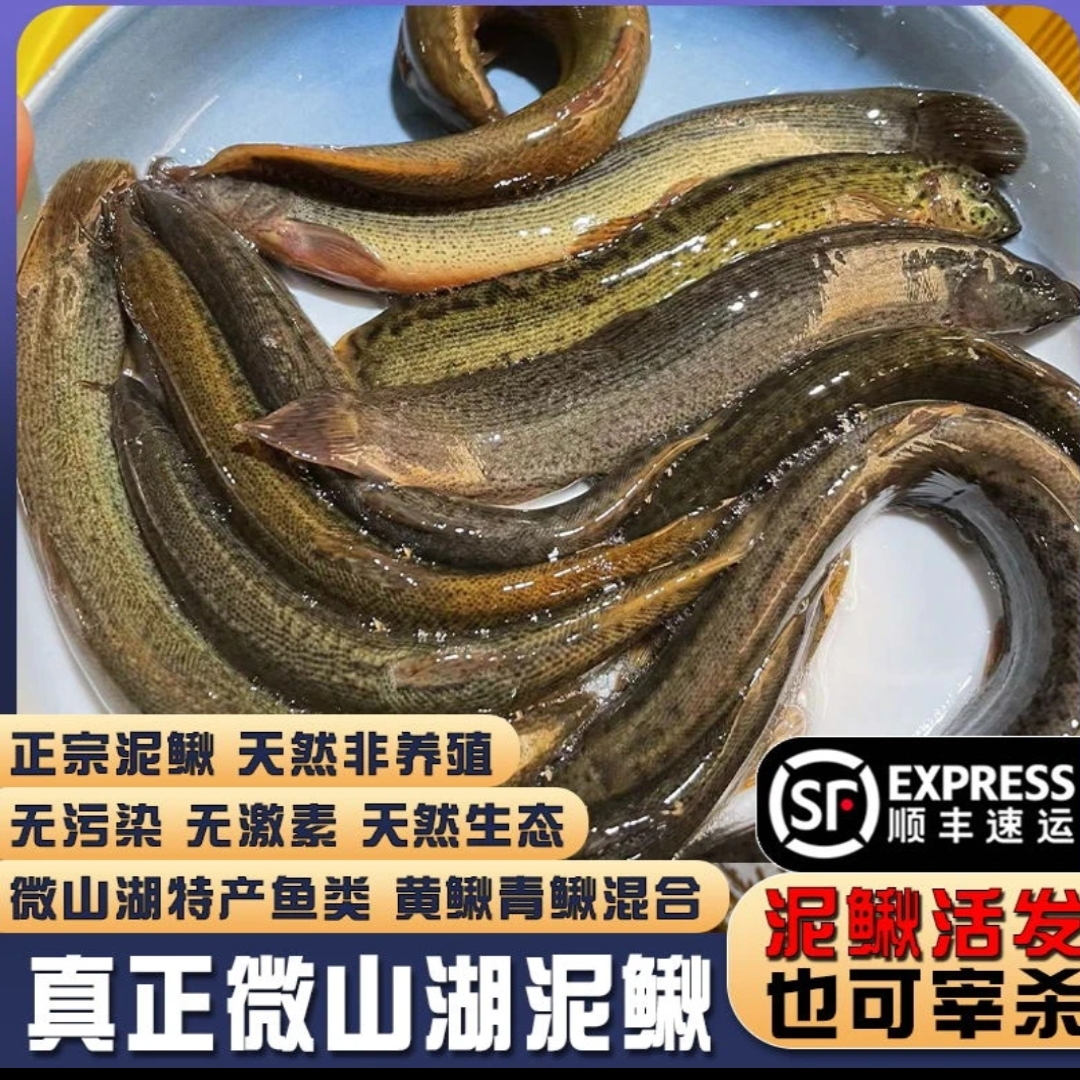 微山湖野生泥鳅鱼黄泥鳅青鳅大板鳅活体发货新鲜现杀（顺丰包邮）