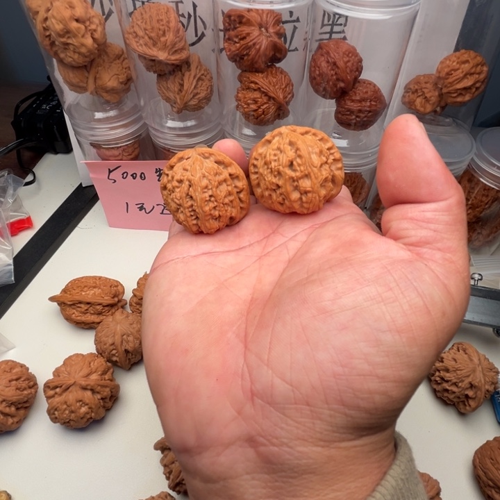 ****️摆件摆件摆件摆件