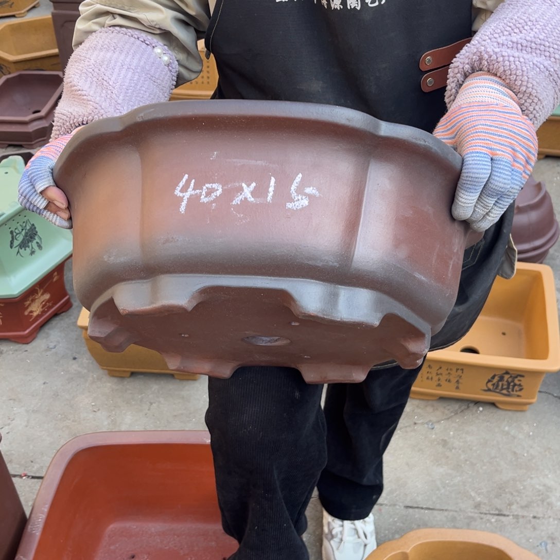 紫砂花盆盆景艺术