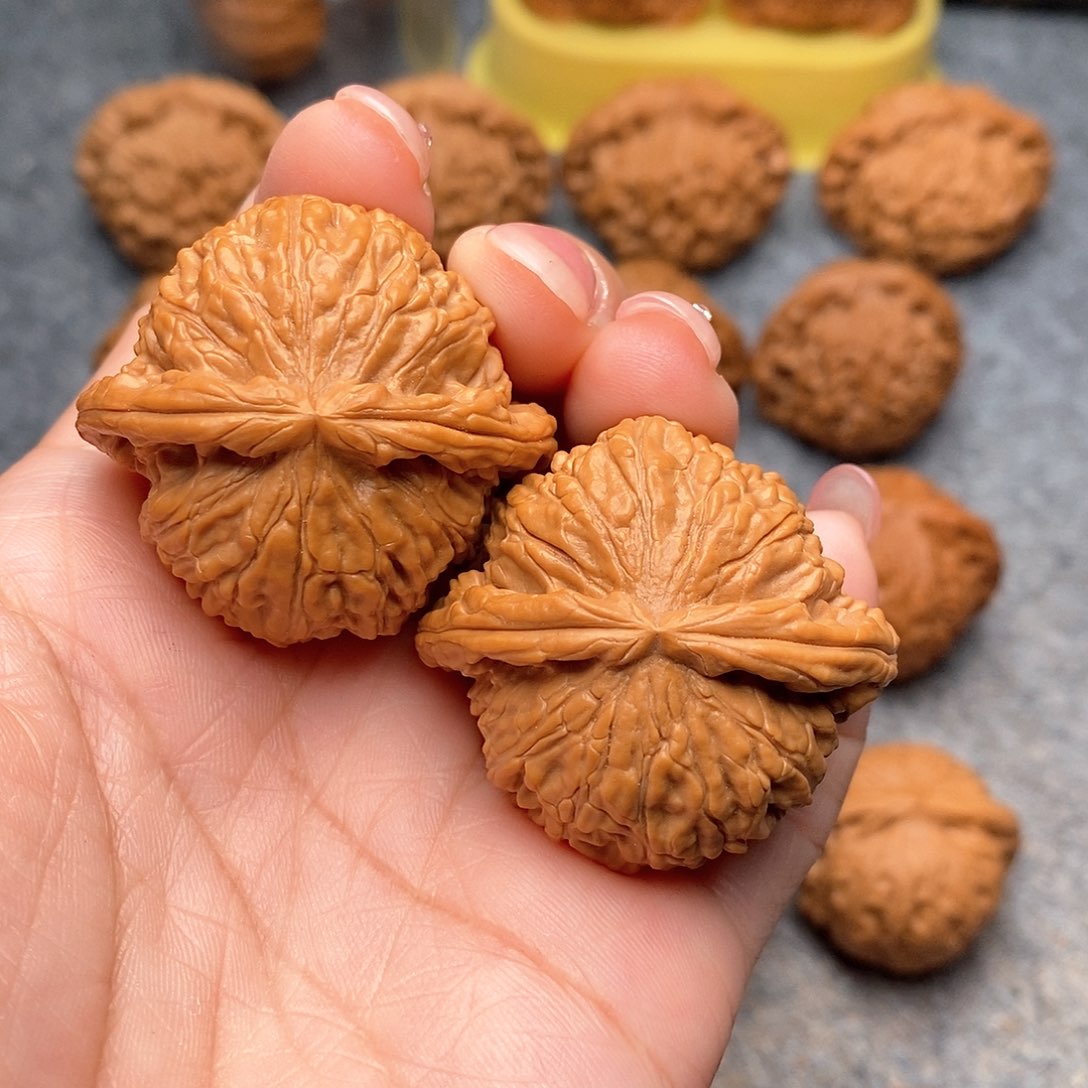 文玩核桃把件精品特价白狮子40全品