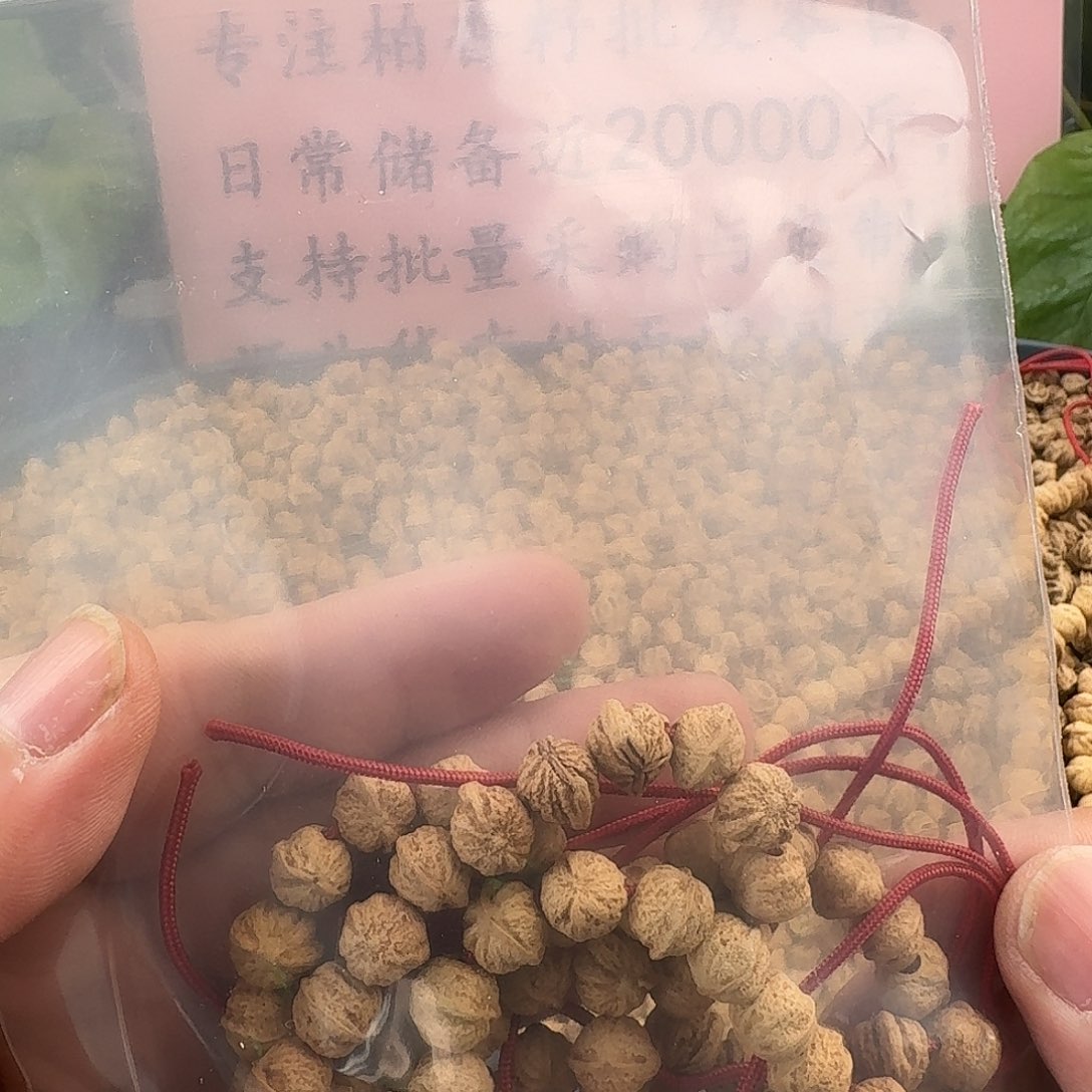 大***军吊坠柏香籽/百香籽3条GS手持