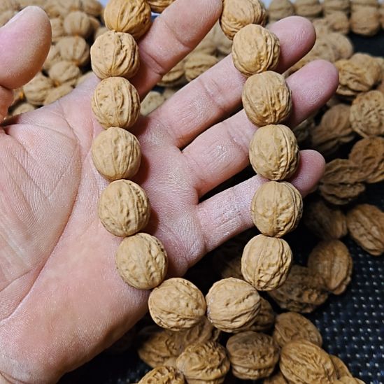 m***z木质类纯野生山核桃