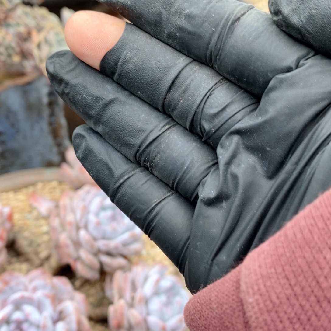 馨***冉补小缀哇哇哇哇呀呀