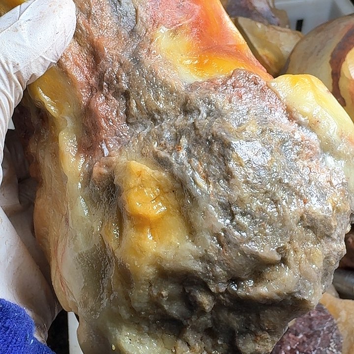 寿山石庐****子寿山石的故事