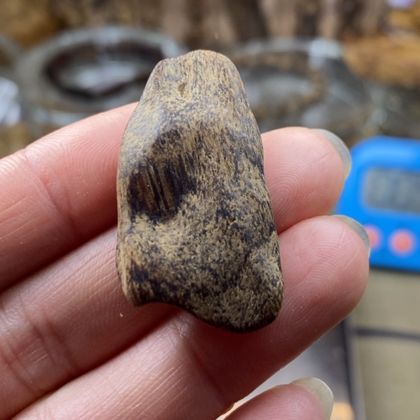 【闪购商品】沉香沉香碎屑恵安土沉沉水2.2克