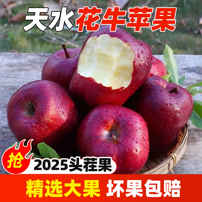 正宗甘肃天水花牛苹果脆粉两吃新鲜花牛苹果蛇果应季水果坏果包赔