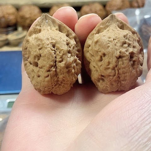 文玩核桃把件七彩雷龙带彩42