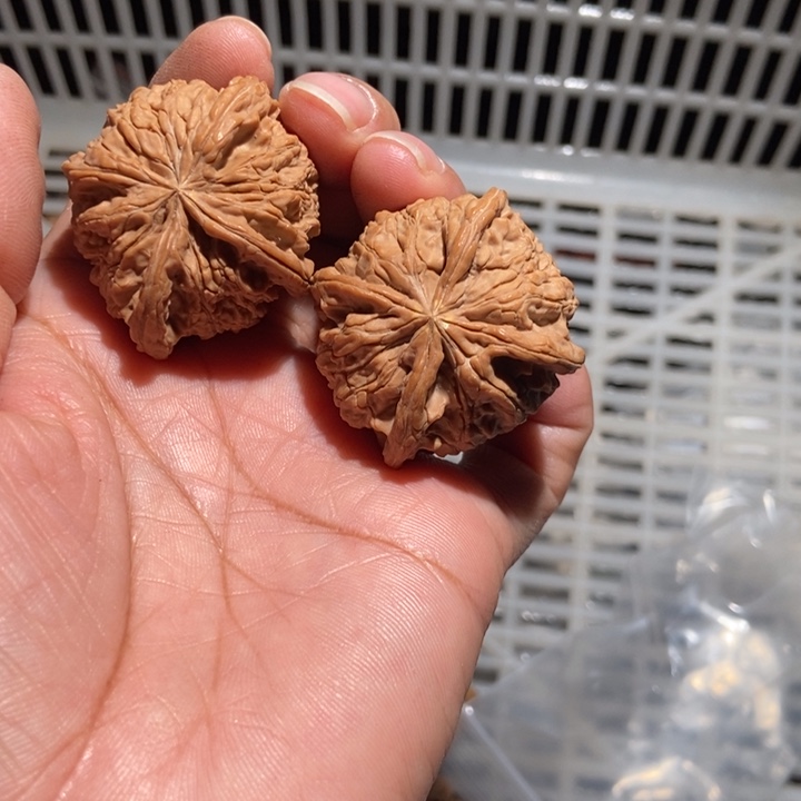 迷***糊核桃多棱元宝四棱尺寸40有黄尖