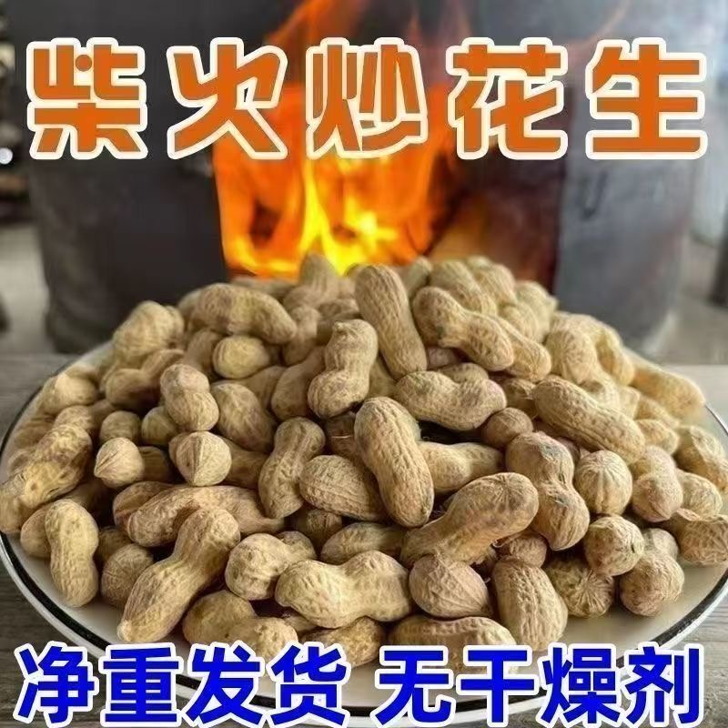 【旗舰店】当季新货柴火炒花生原味炒熟带皮熟花生休闲零食500G