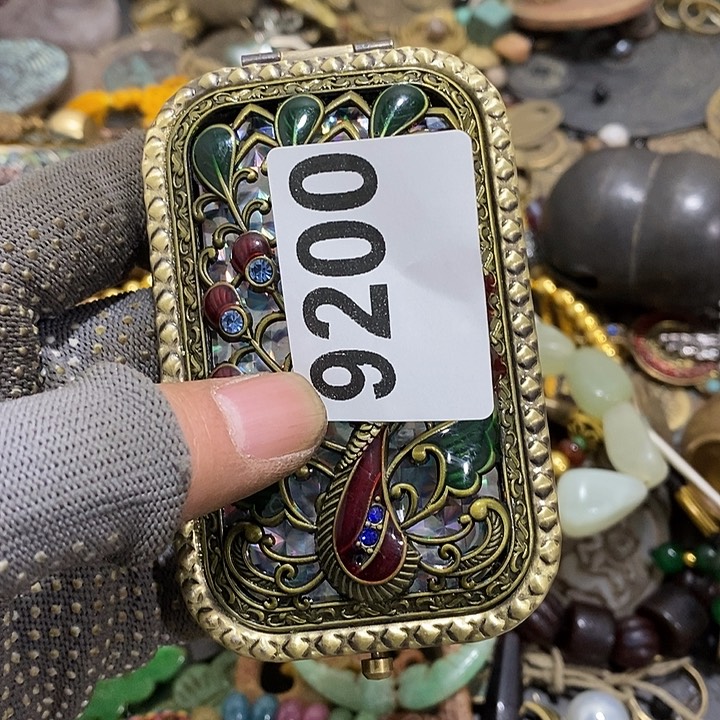 九*哥光明的未来发展9200