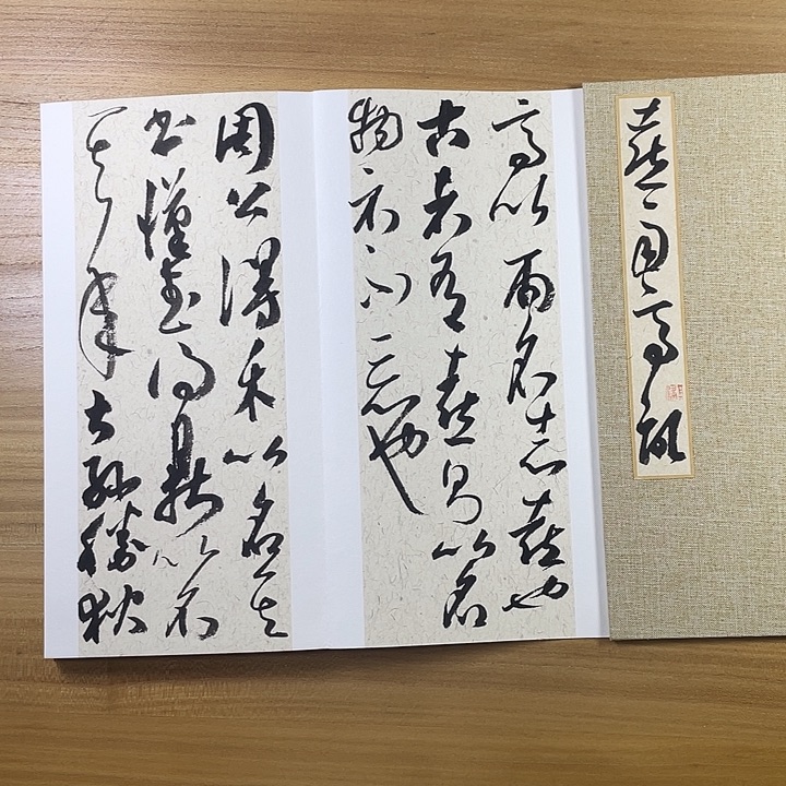 书法中书协老师何其健